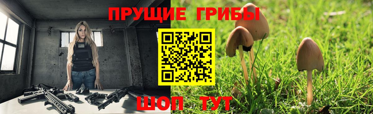 Сарапул  Псилоцибиновые грибы мицелий  Вход с VPN 